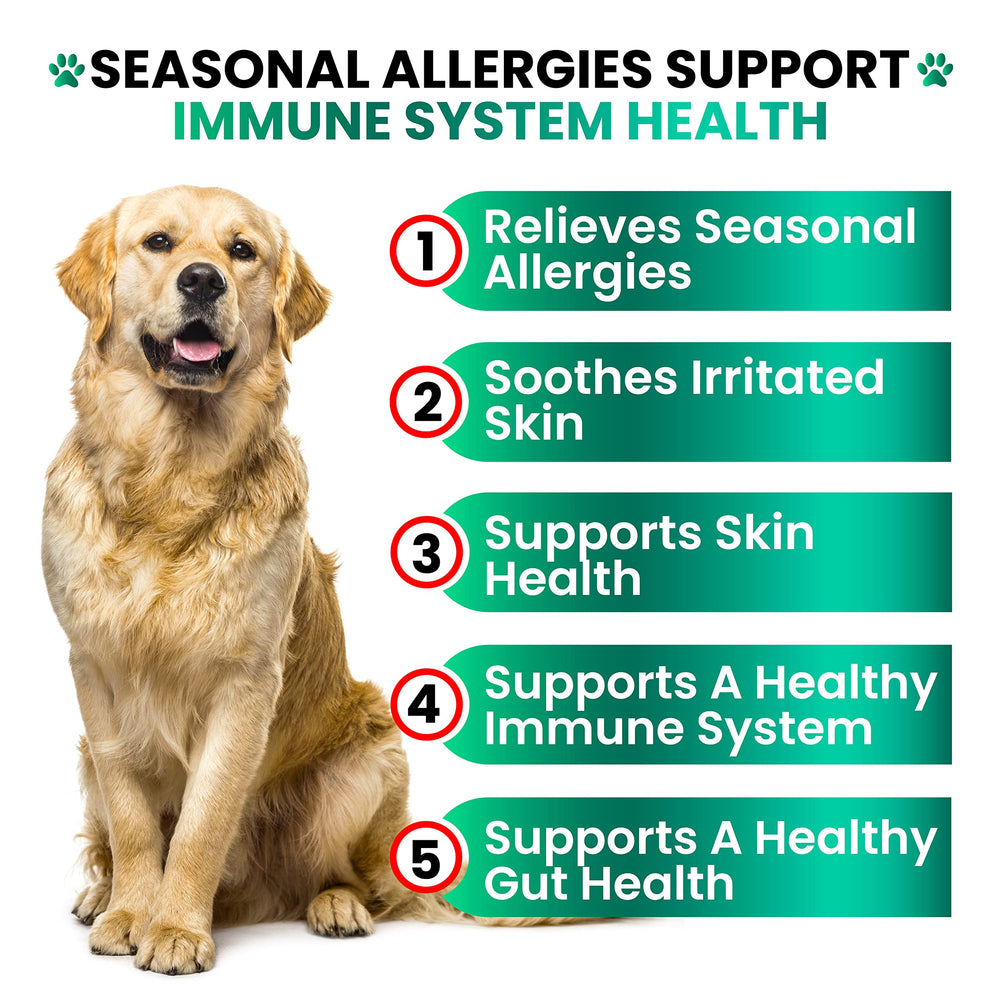 Grateful Pawz allergy chews bottle showcases natural ingredients for seasonal relief.