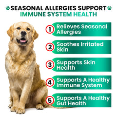 Grateful Pawz allergy chews bottle showcases natural ingredients for seasonal relief.