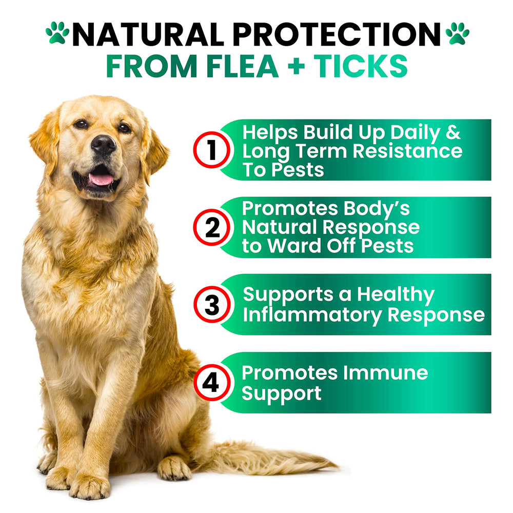 Grateful Pawz delicious-chews for dogs support daily-use routine and pest prevention.