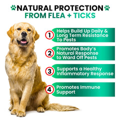Grateful Pawz delicious-chews for dogs support daily-use routine and pest prevention.