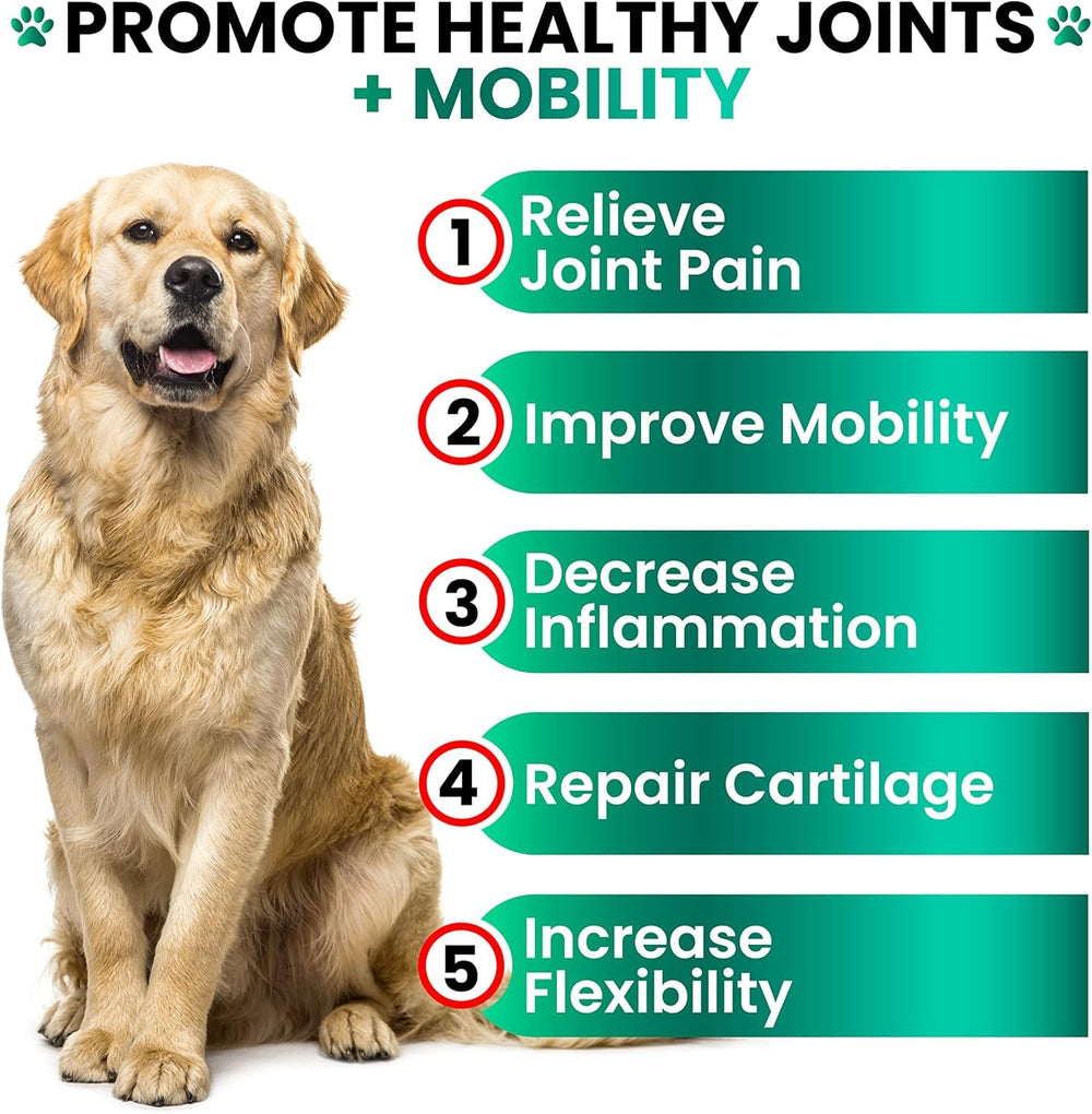 Grateful Pawz dog enjoys a walk while taking hemp hip and joint supplement
