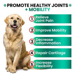 Grateful Pawz dog treats with glucosamine and chondroitin for joints