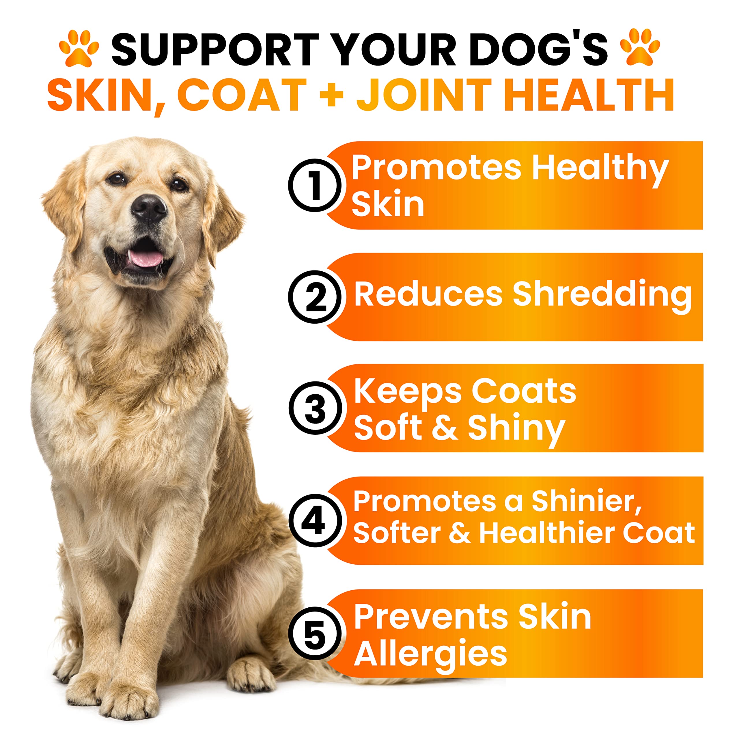 Grateful Pawz fish oil for dogs bottle showcases omega-rich supplement.