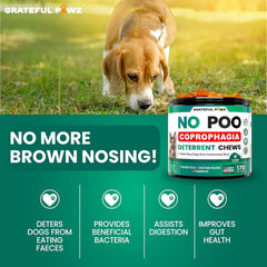 Grateful Pawz probiotic-enzyme blend bottle highlights gut support for dogs.