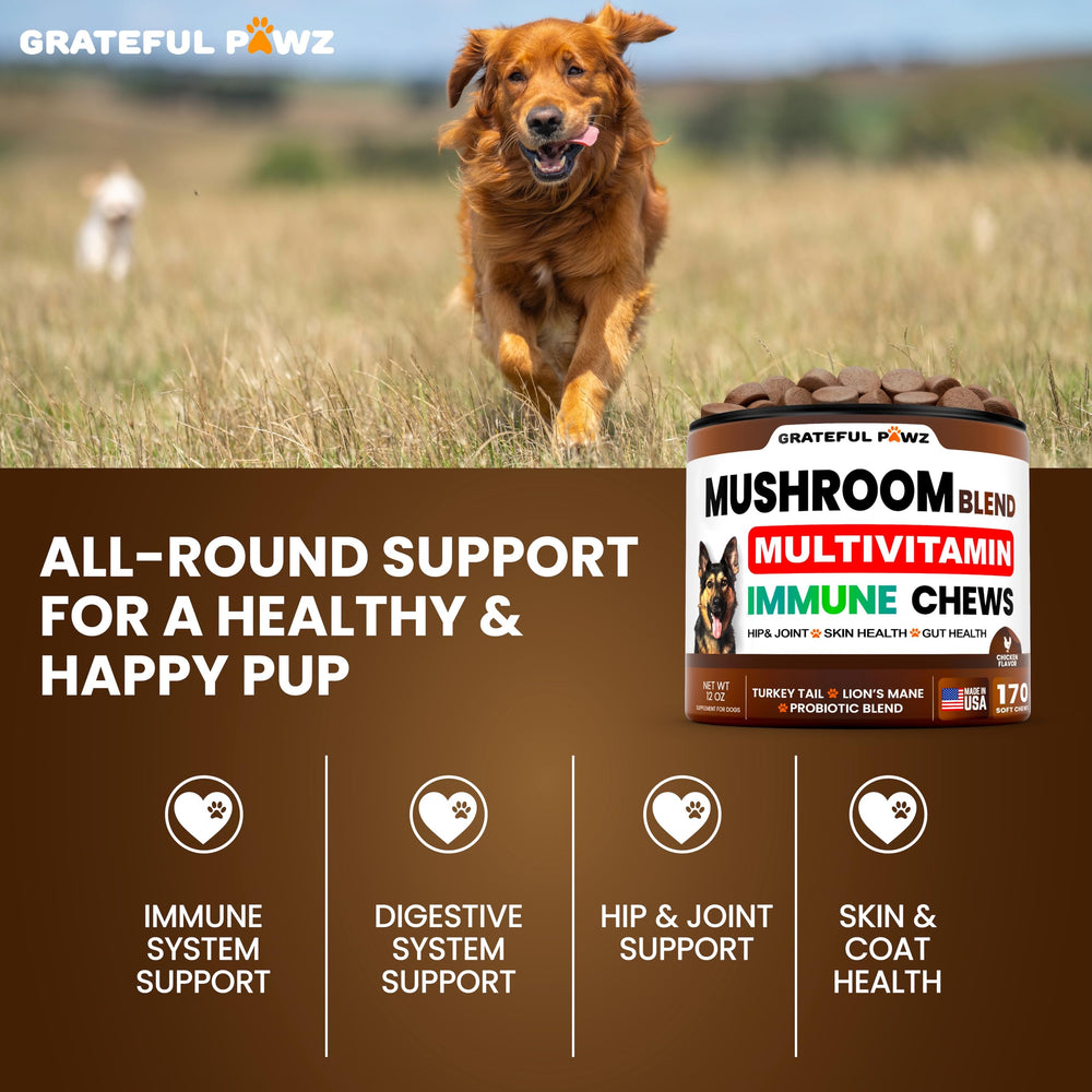 Grateful Pawz Omega-3 salmon oil dog supplement bottle.