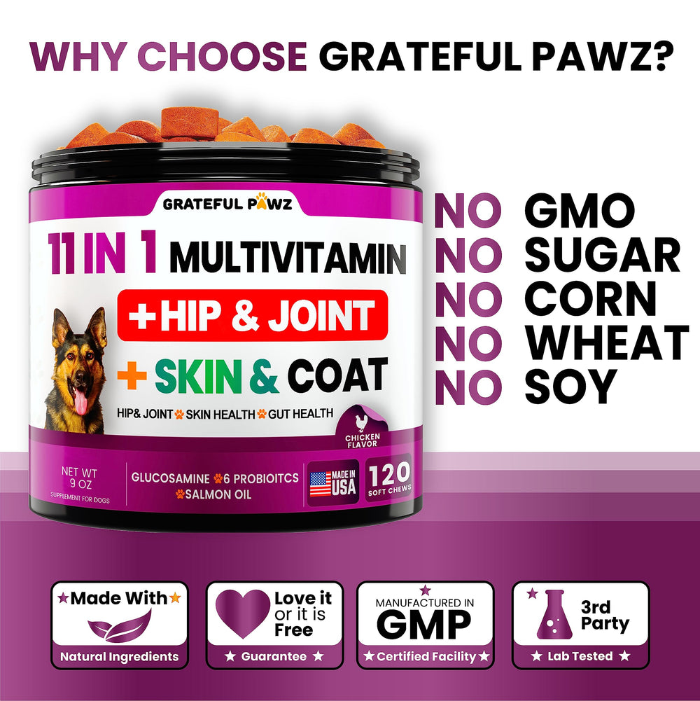Grateful Pawz probiotic digestive bottle underscores gut health and nutrient delivery