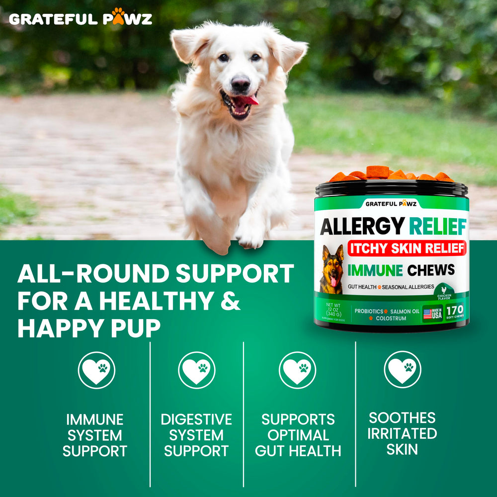 Grateful Pawz soft chews closeup emphasizes texture and palatability for picky eaters.