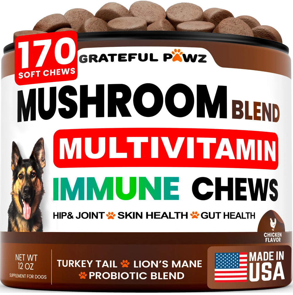 Grateful Pawz turkey-tail dog supplement bottle for immune support.