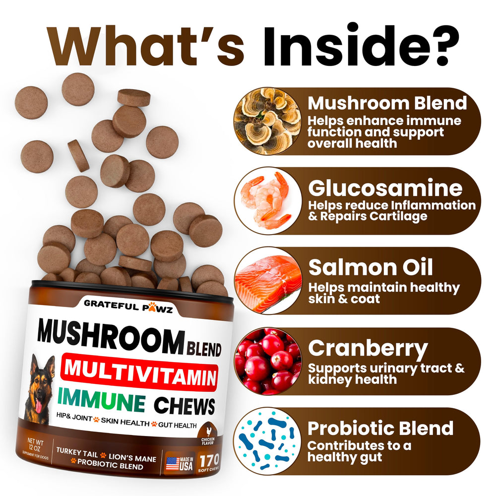 Grateful Pawz turkey-tail dog supplement chews close-up for daily wellness.