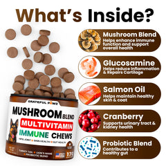 Grateful Pawz turkey-tail dog supplement chews close-up for daily wellness.