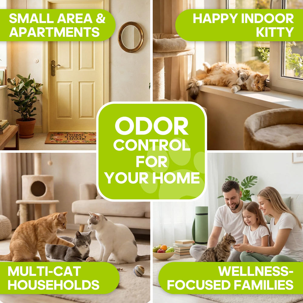 Grayleaf multi-cat freshness in a busy home.