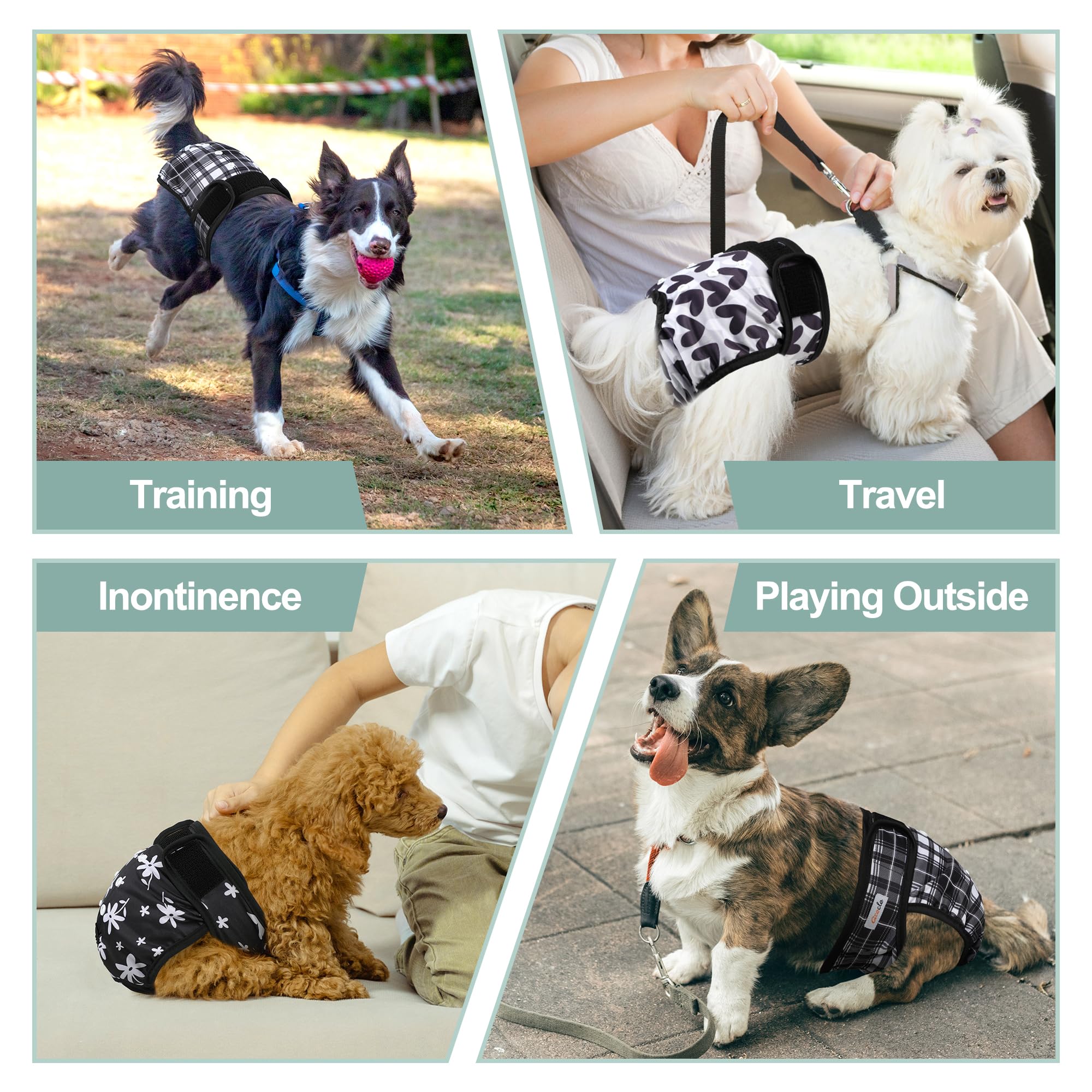 Grecle dog diaper in heat use supports comfortable containment.