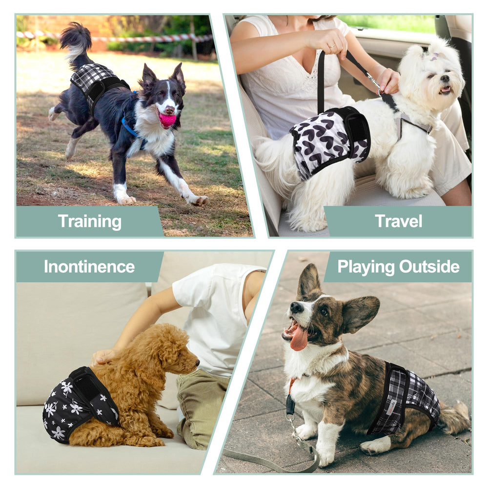 Grecle dog diaper in heat use supports comfortable containment.
