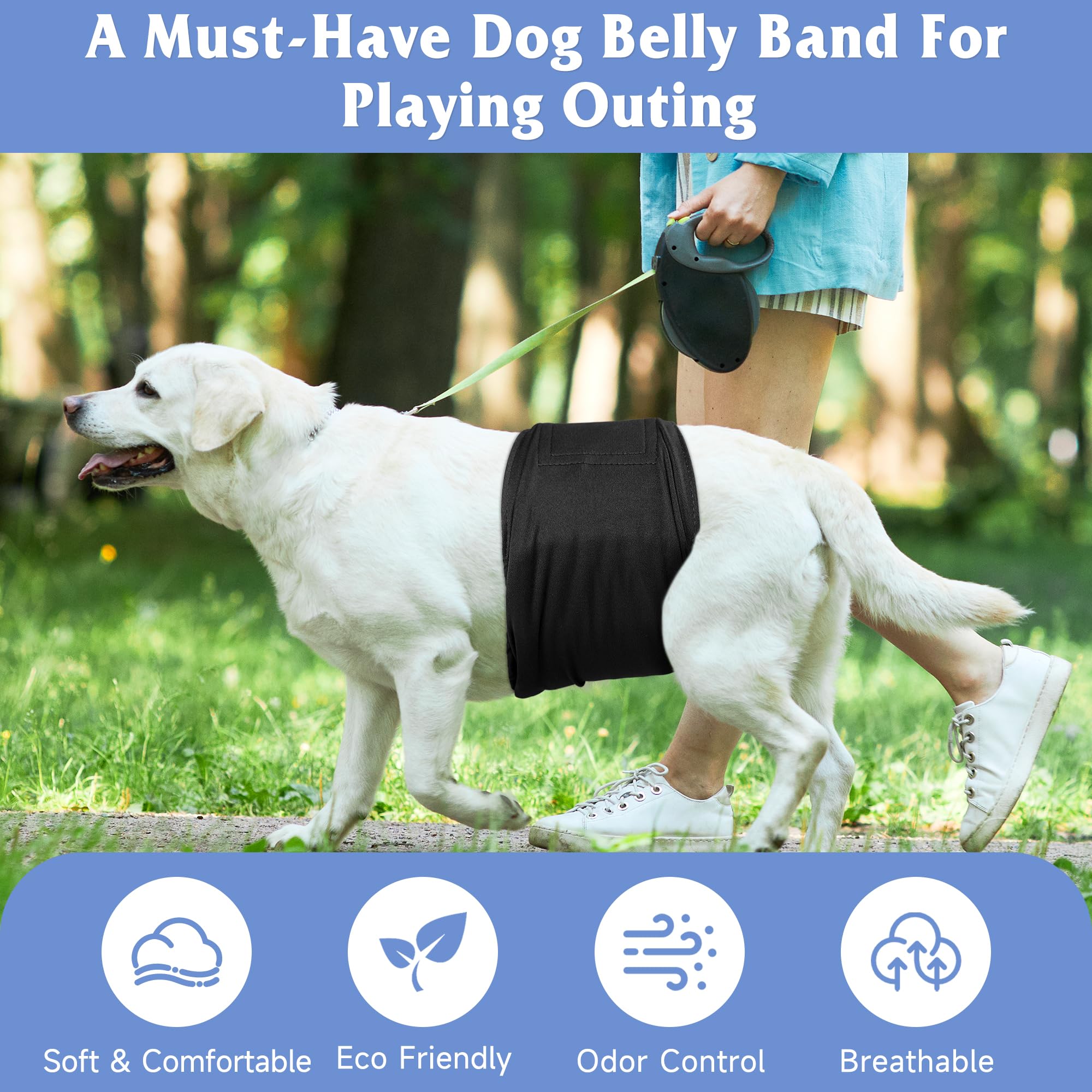 Grecle durable Velcro belly band with double stitching withstands regular washing
