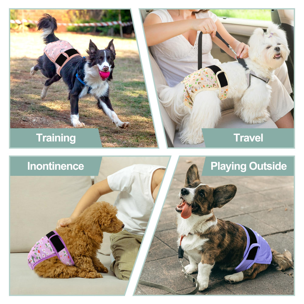 Grecle waist elastic offers a snug easy on fit for sizing flexibility