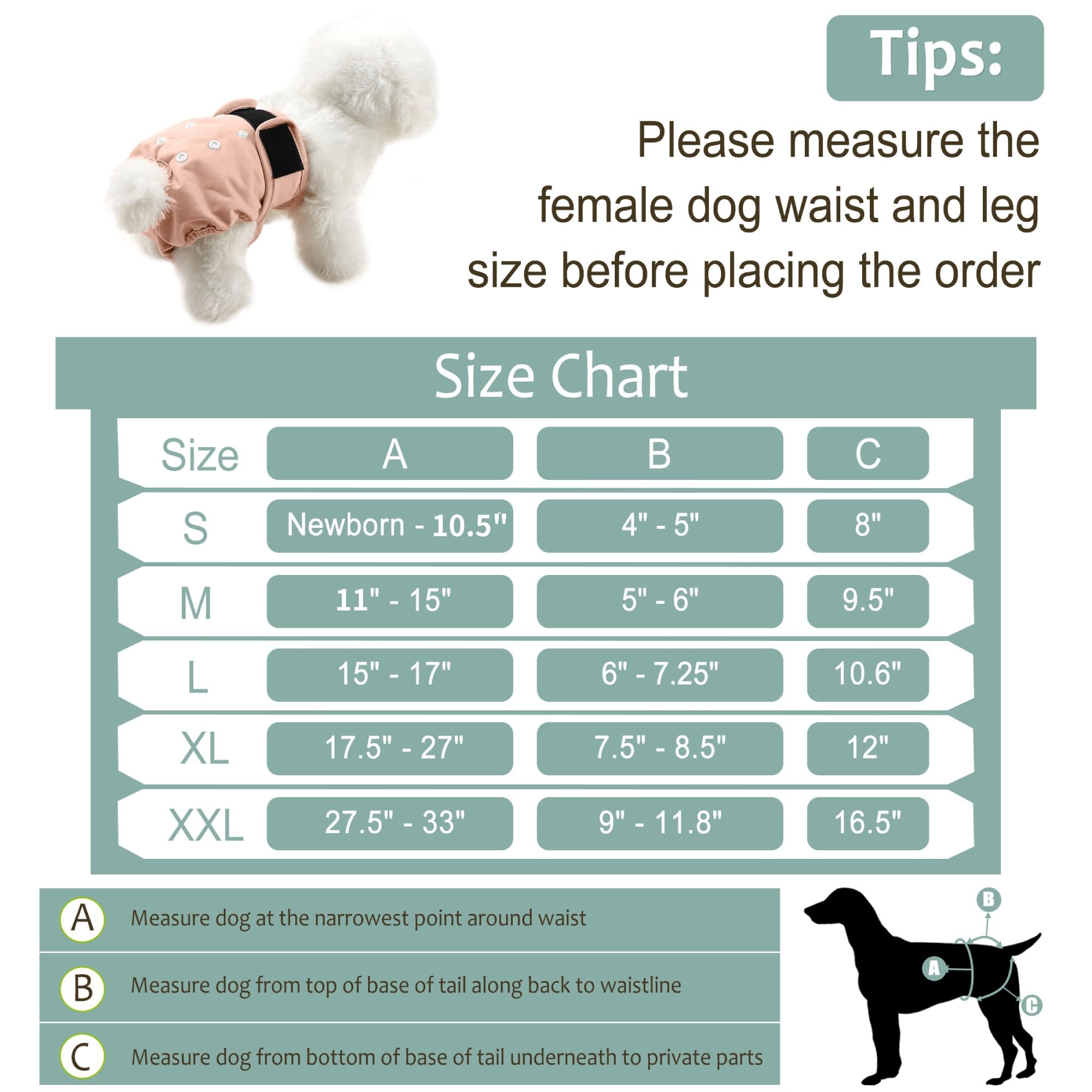 Grecle five-sizes chart for dog diapers - easy sizing guide for best fit.