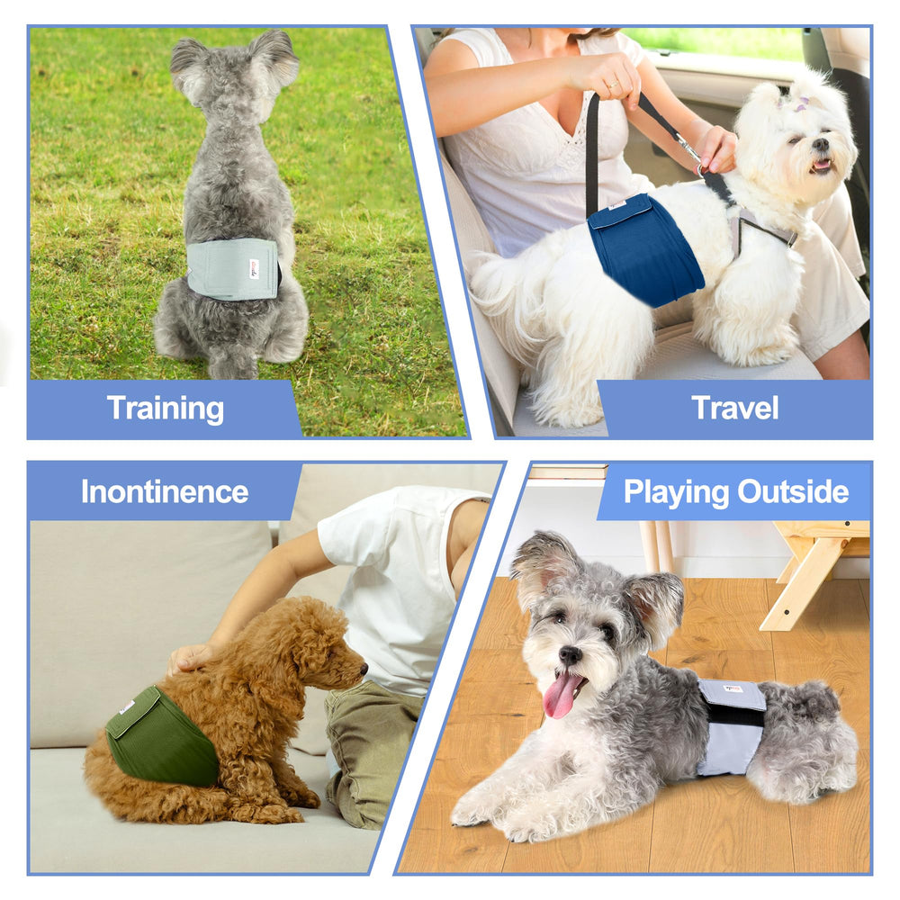Grecle travel-ready design supports car trips and outings with pets.