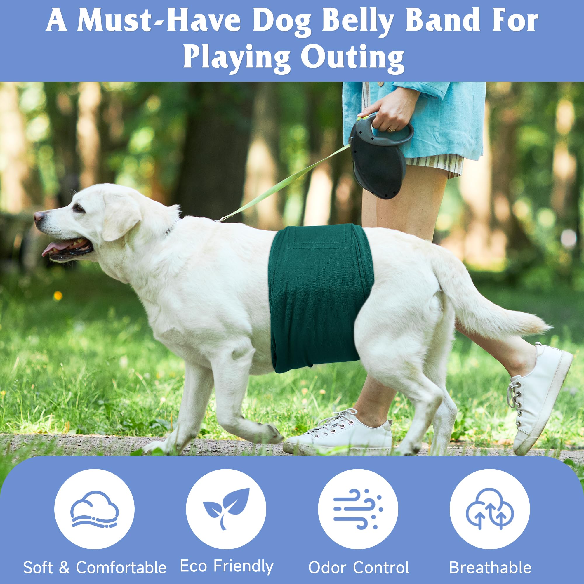Grecle Velcro closure ensures a secure fit for male dogs