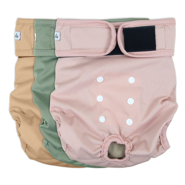 Grecle washable dog diapers with an absorbent pad for reliable overnight protection.