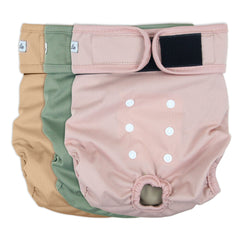 Grecle washable dog diapers with an absorbent pad for reliable overnight protection.