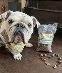 Green Butterfly Brands beef dog treats with 100% beef lung, single-ingredient focus.
