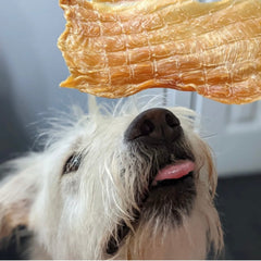Green Butterfly Brands Chicken Jerky is a single-ingredient snack ideal for all dogs.