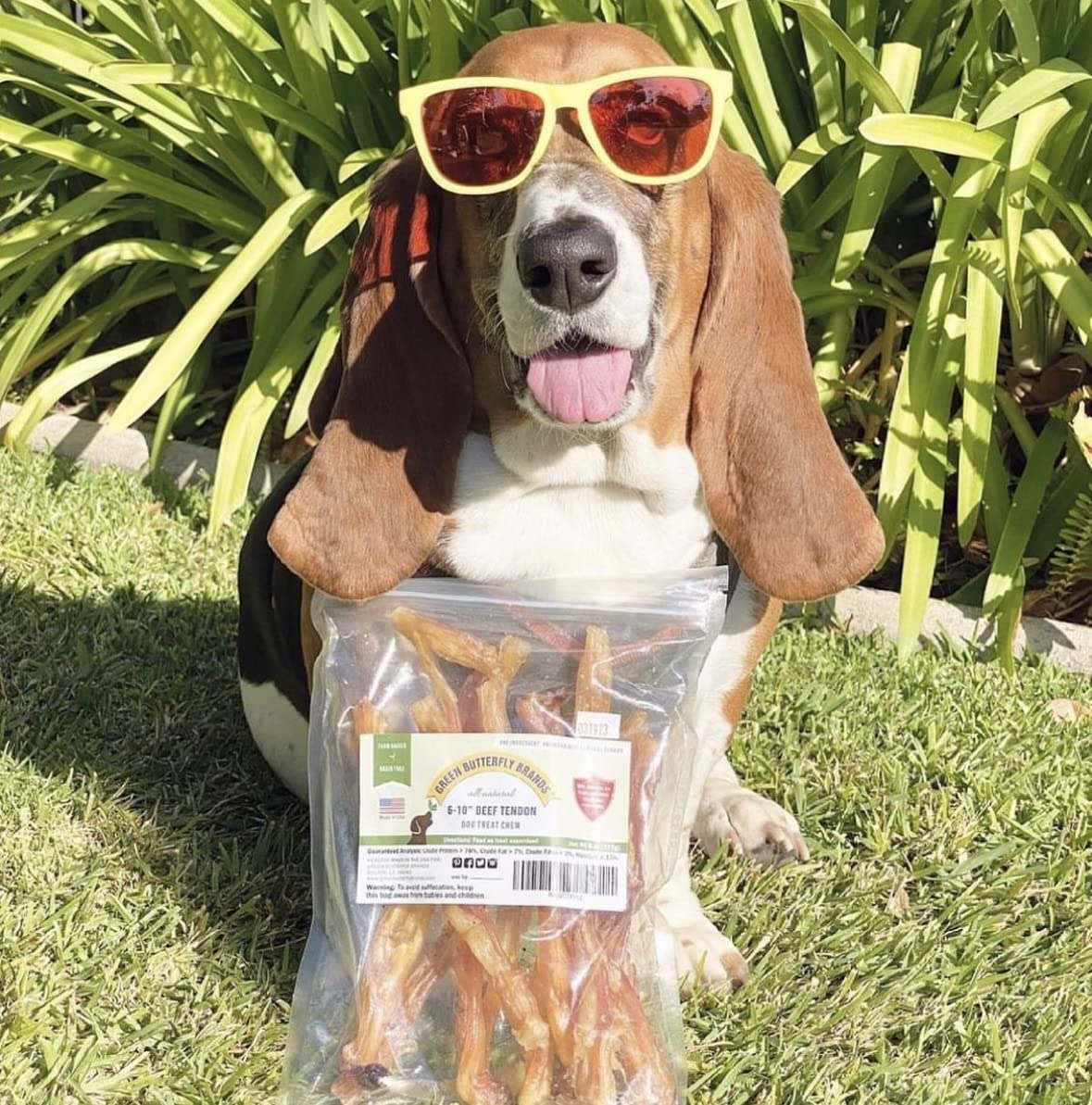Green Butterfly Brands beef tendon dental chew suitable for all breeds