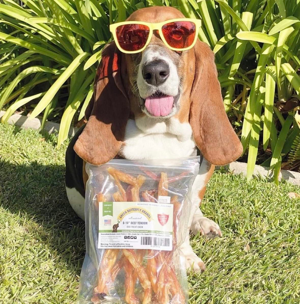 Green Butterfly Brands beef tendon dental chew suitable for all breeds