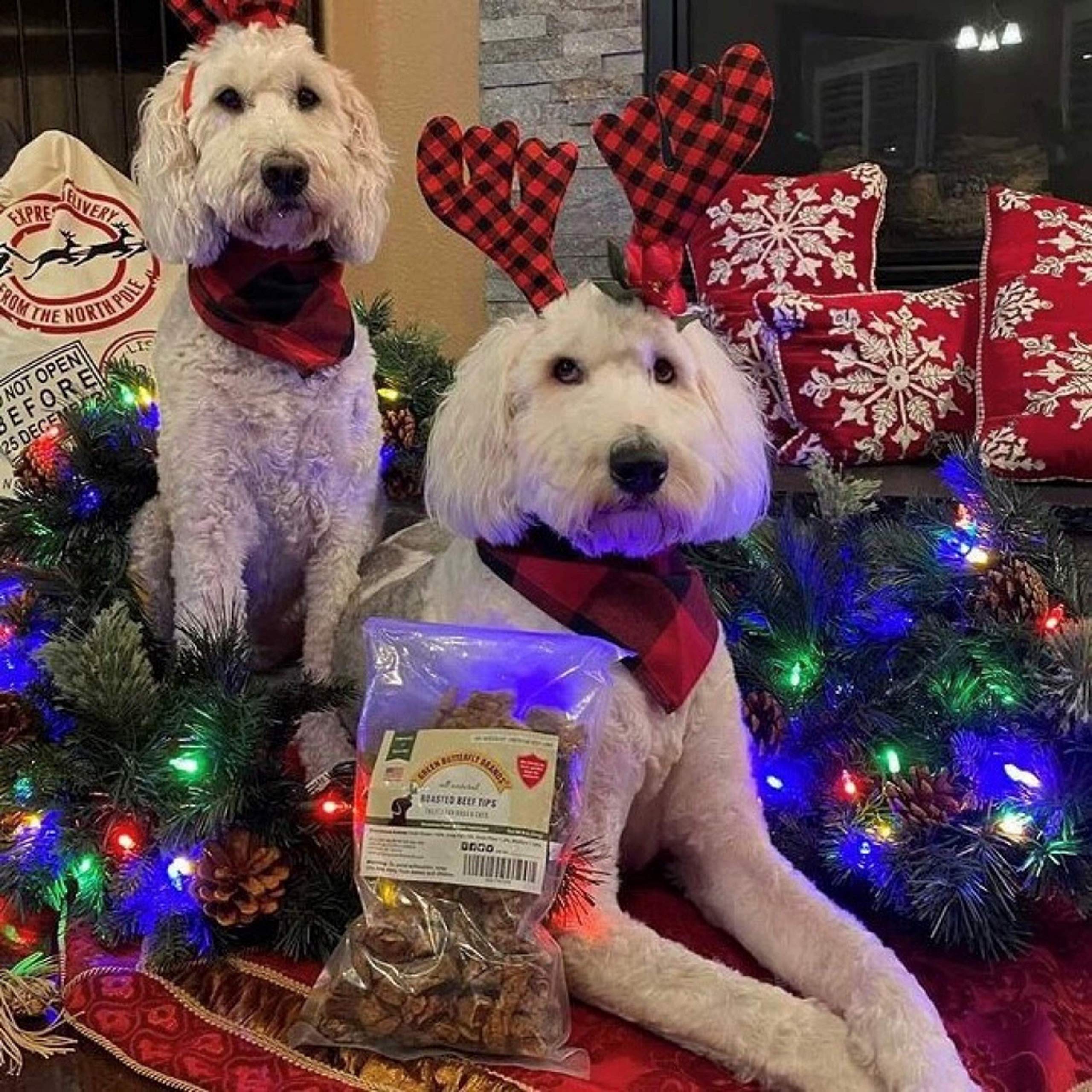 Green Butterfly Brands donation-focused program supporting service dogs and veterans.