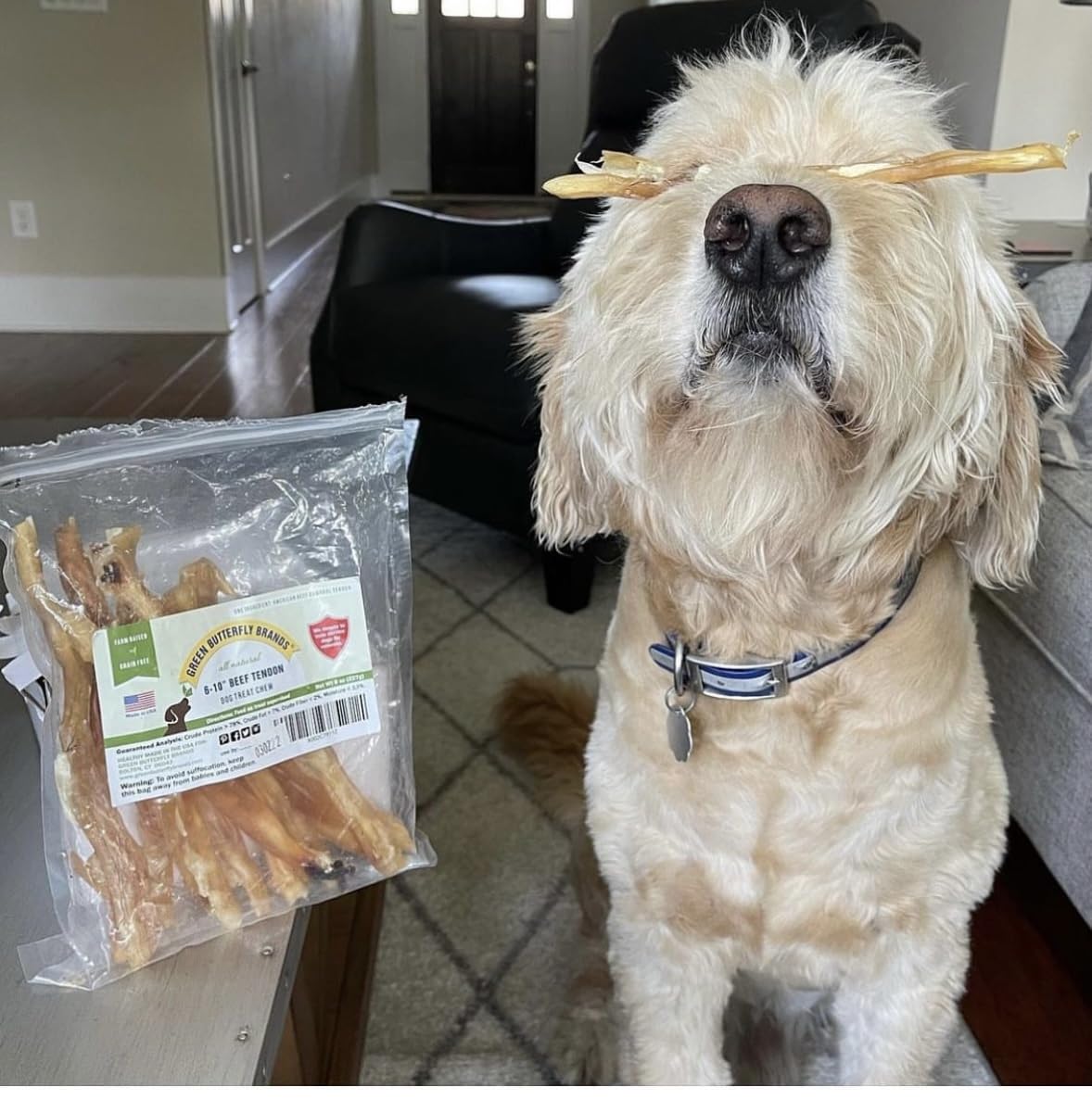 Green Butterfly Brands packaging on display, all-natural dog chews with glucosamine