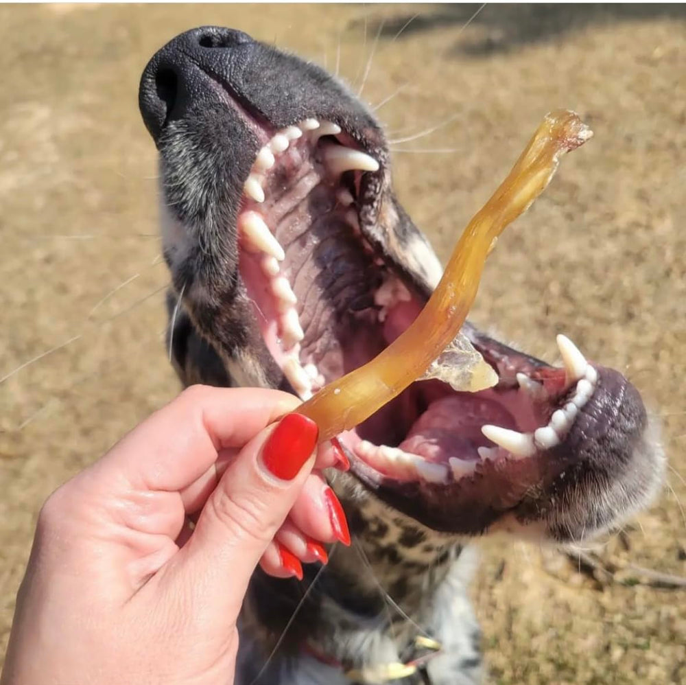 Green Butterfly Brands donates portion of proceeds to service dogs for veterans