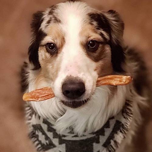 Gift-ready dog treat from Green Butterfly Brands, ideal for birthdays