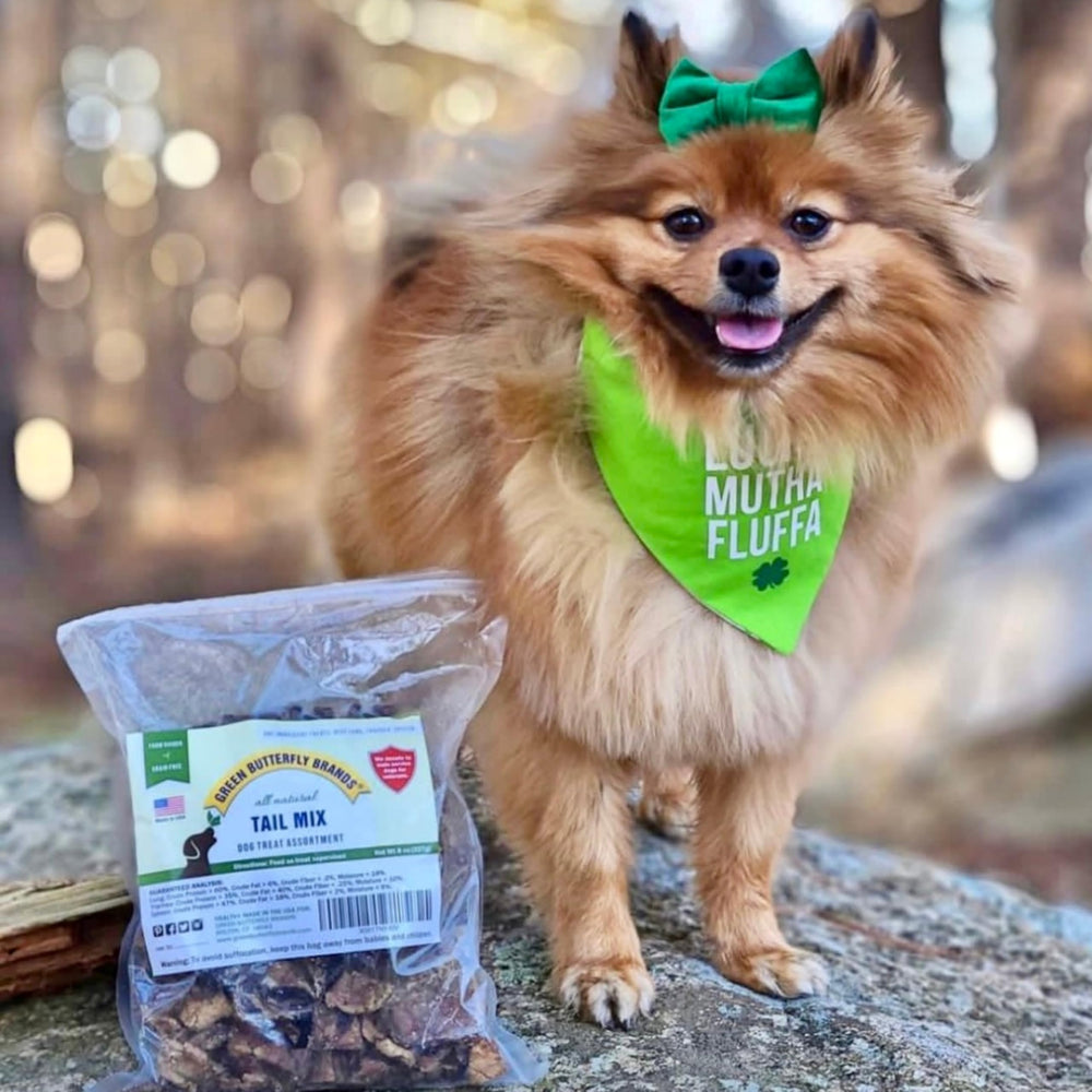 Green Butterfly Brands Tail Mix training reward supports motivated, eager dogs
