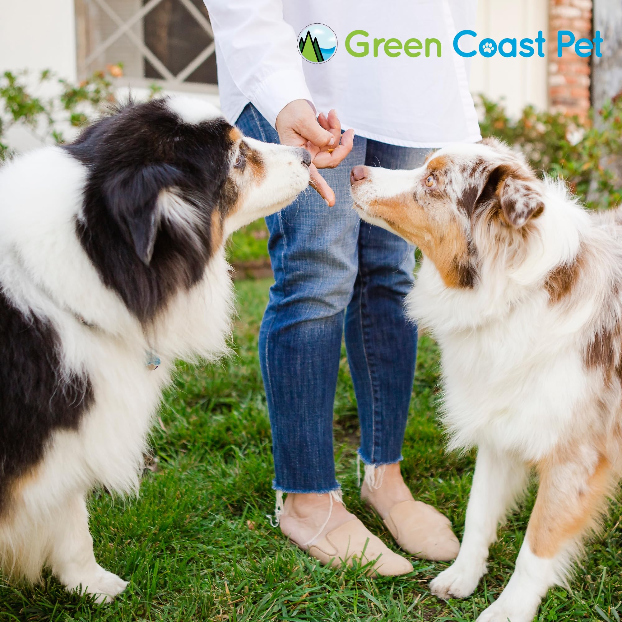 Dog enjoying Green Coast Pet peanut butter treat.