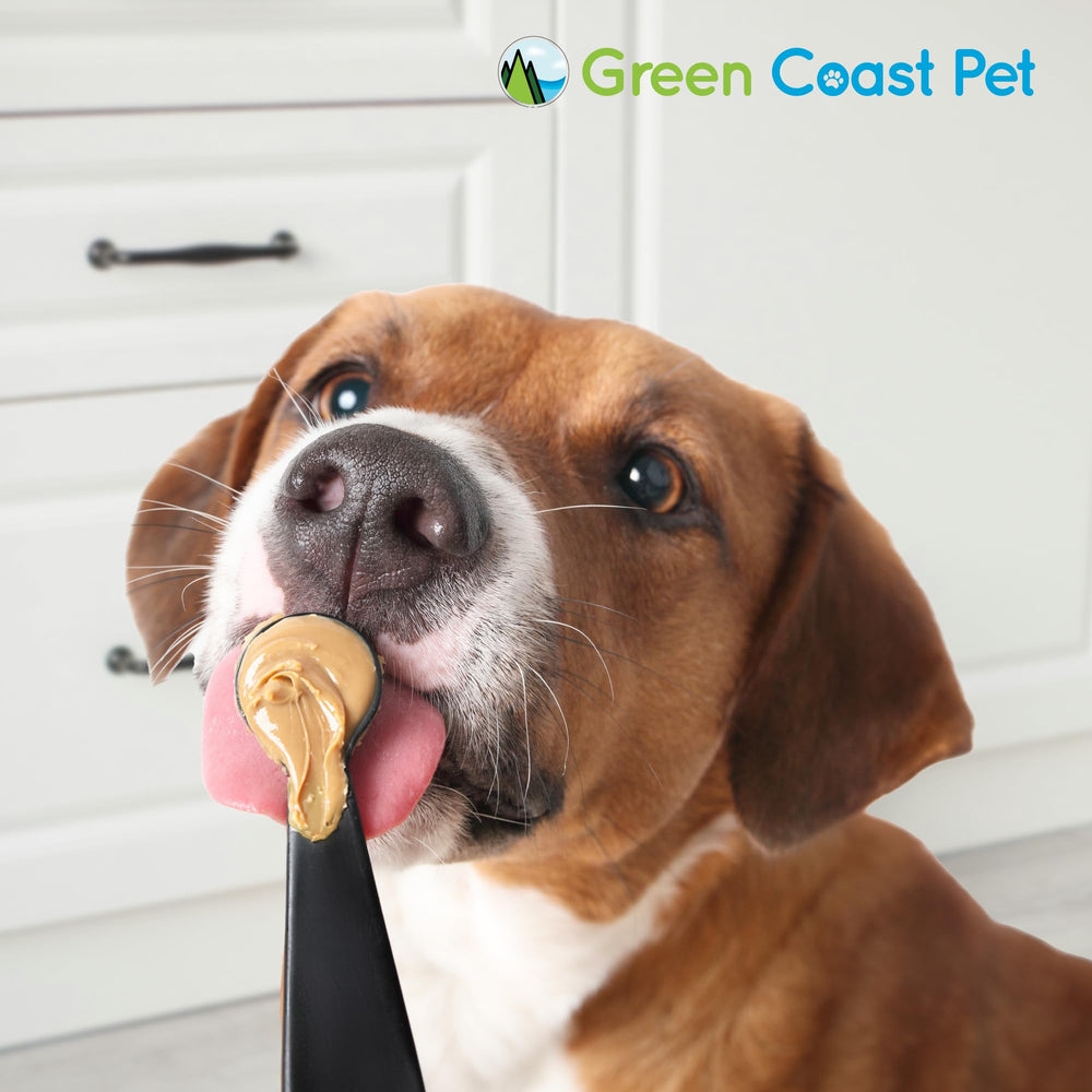 Hiding medication with Green Coast Pet peanut butter for easy administration.