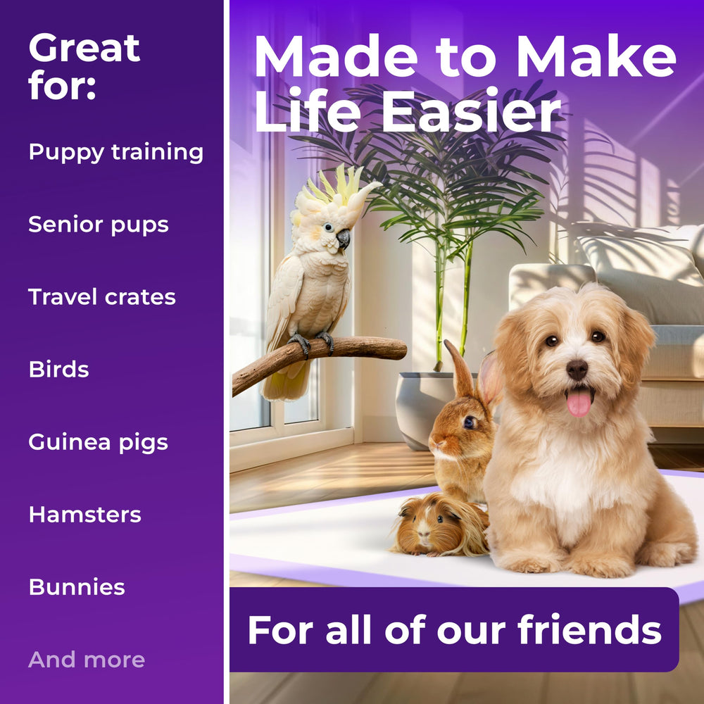 Green Lifestyle bulk pack 80, 22x22 inches for long-term coverage.