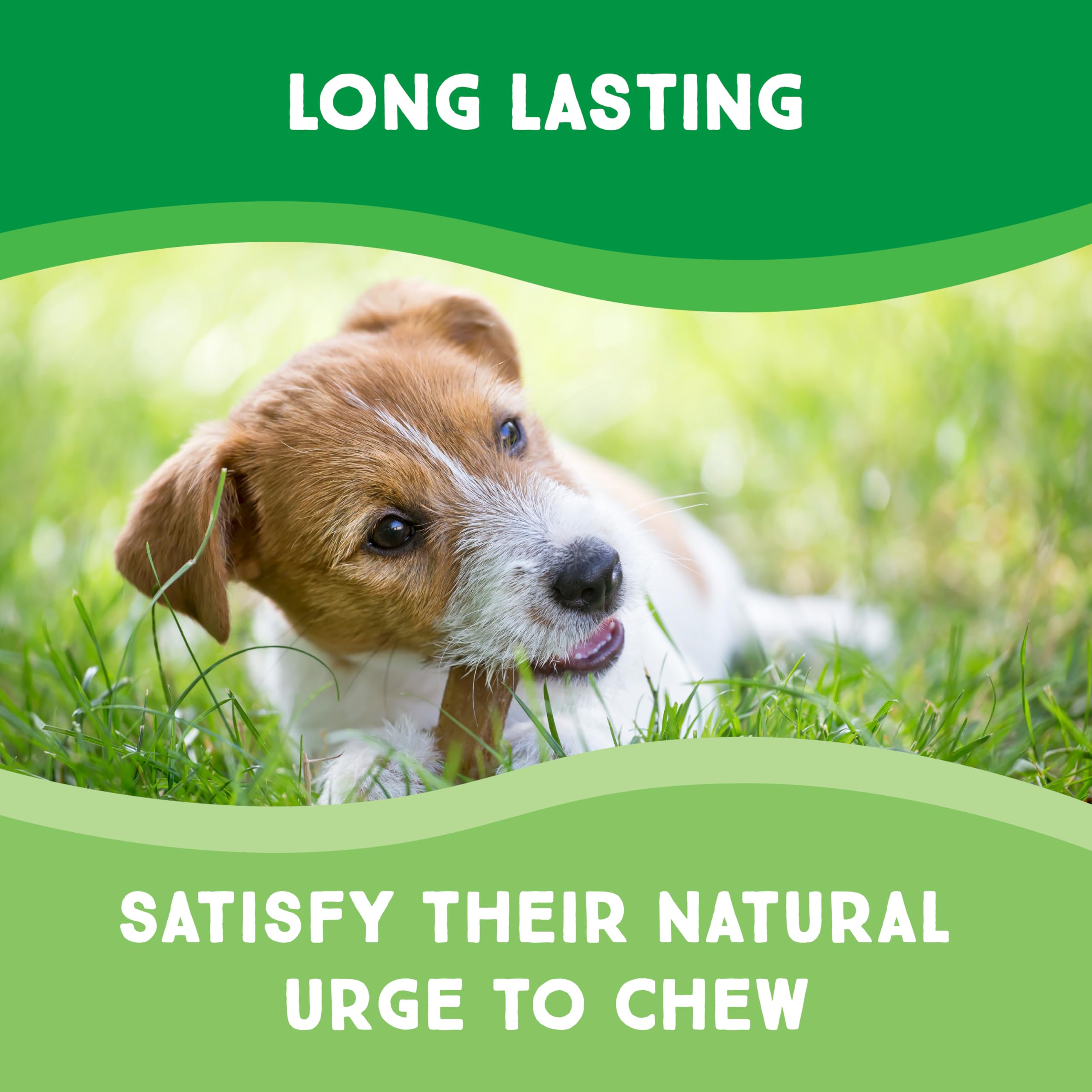 Bulk packaging image for households with multiple dogs