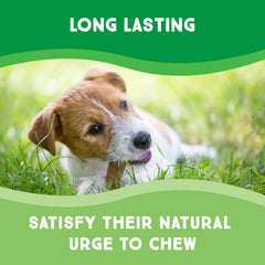 GreenCow Rawhide Chips natural beef flavor shown for dogs of all sizes