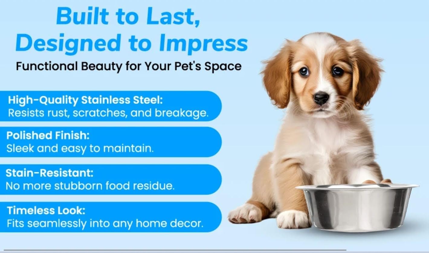 Greendale 2Pack stainless steel dog bowls water dish close-up showing rust-free finish.