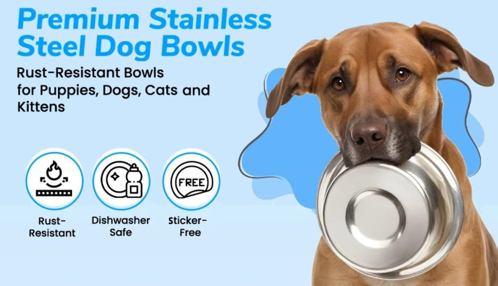 Greendale food-grade bowls provide plastic-free meals and odor control.