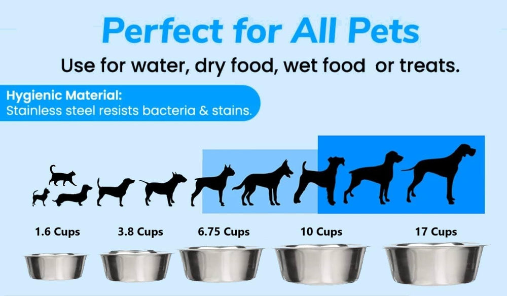 Greendale no-plastic stainless bowls emphasize hygienic pet feeding options
