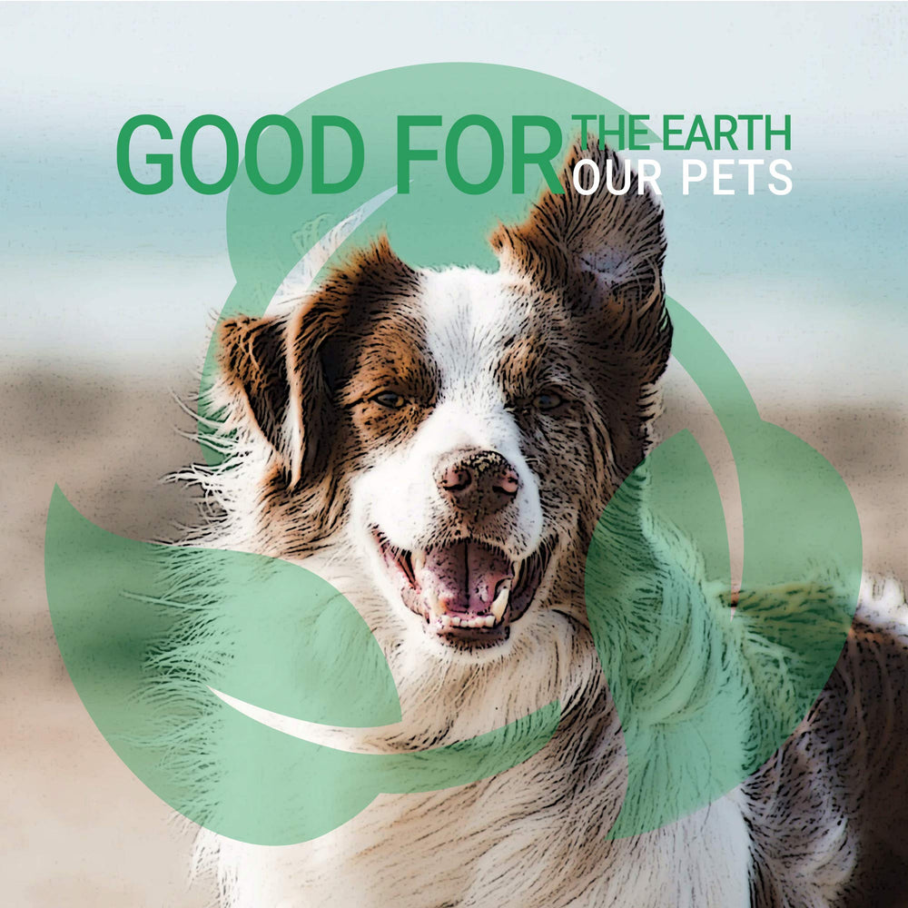 GreenGroom pH-balanced formula gentle on pets' skin