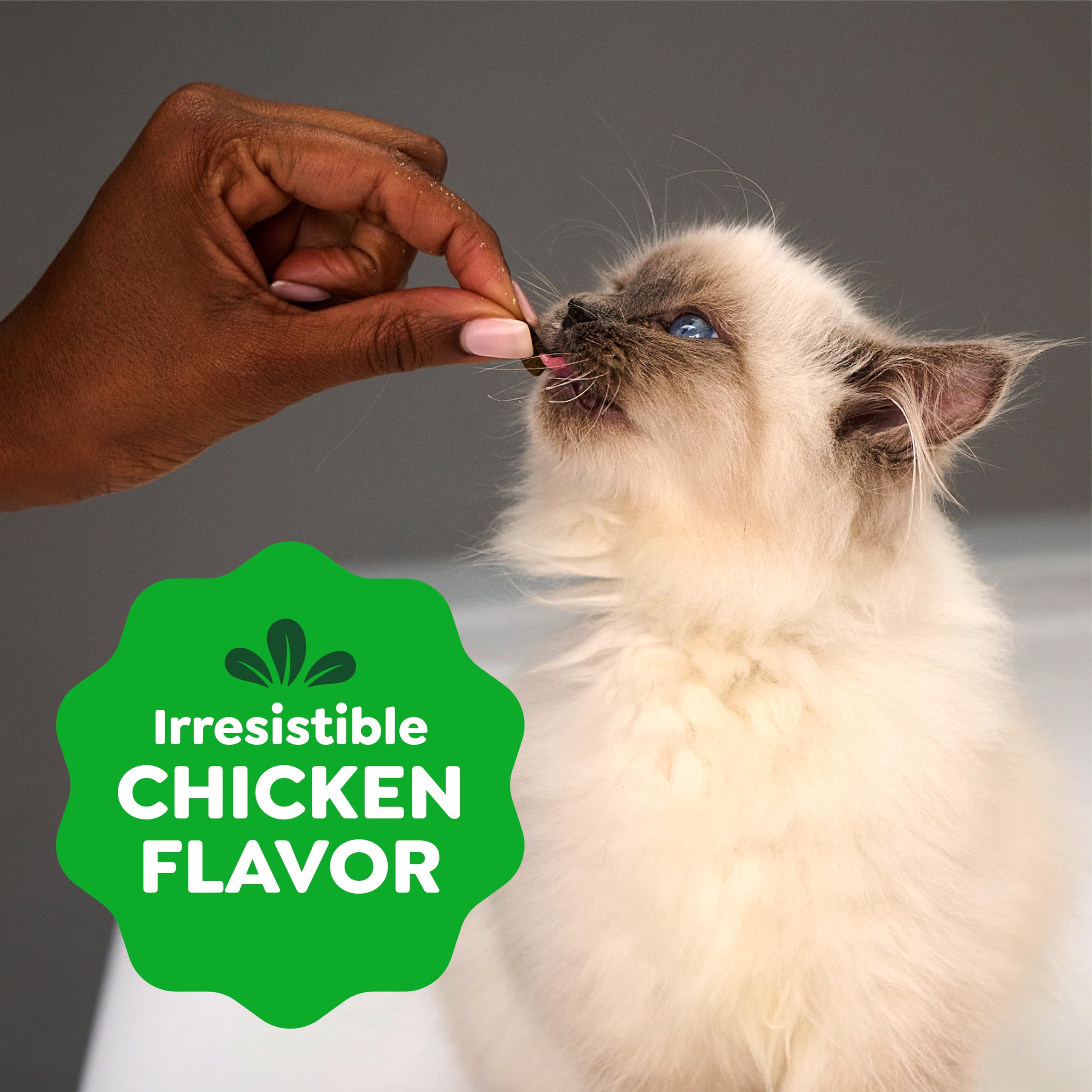 16 oz Greenies tub on shelf, convenient daily treat size