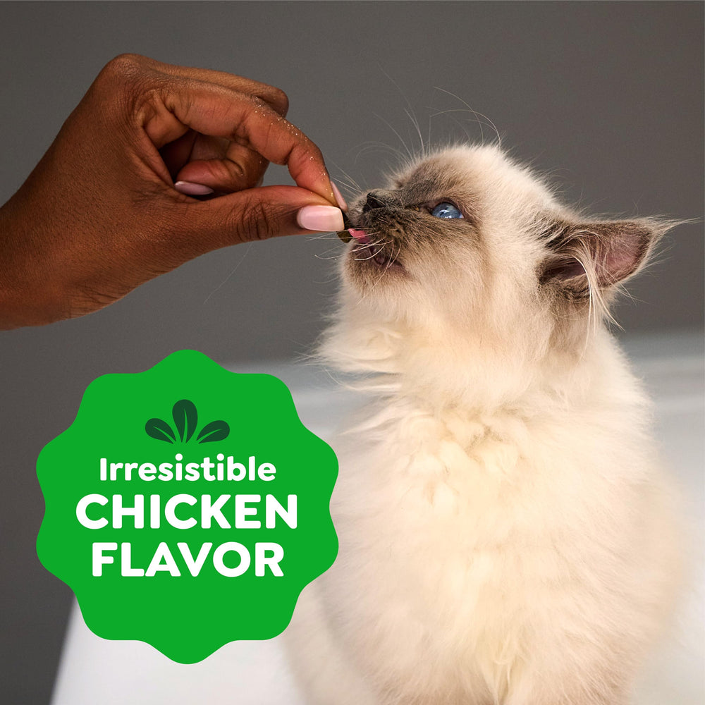 16 oz Greenies tub on shelf, convenient daily treat size