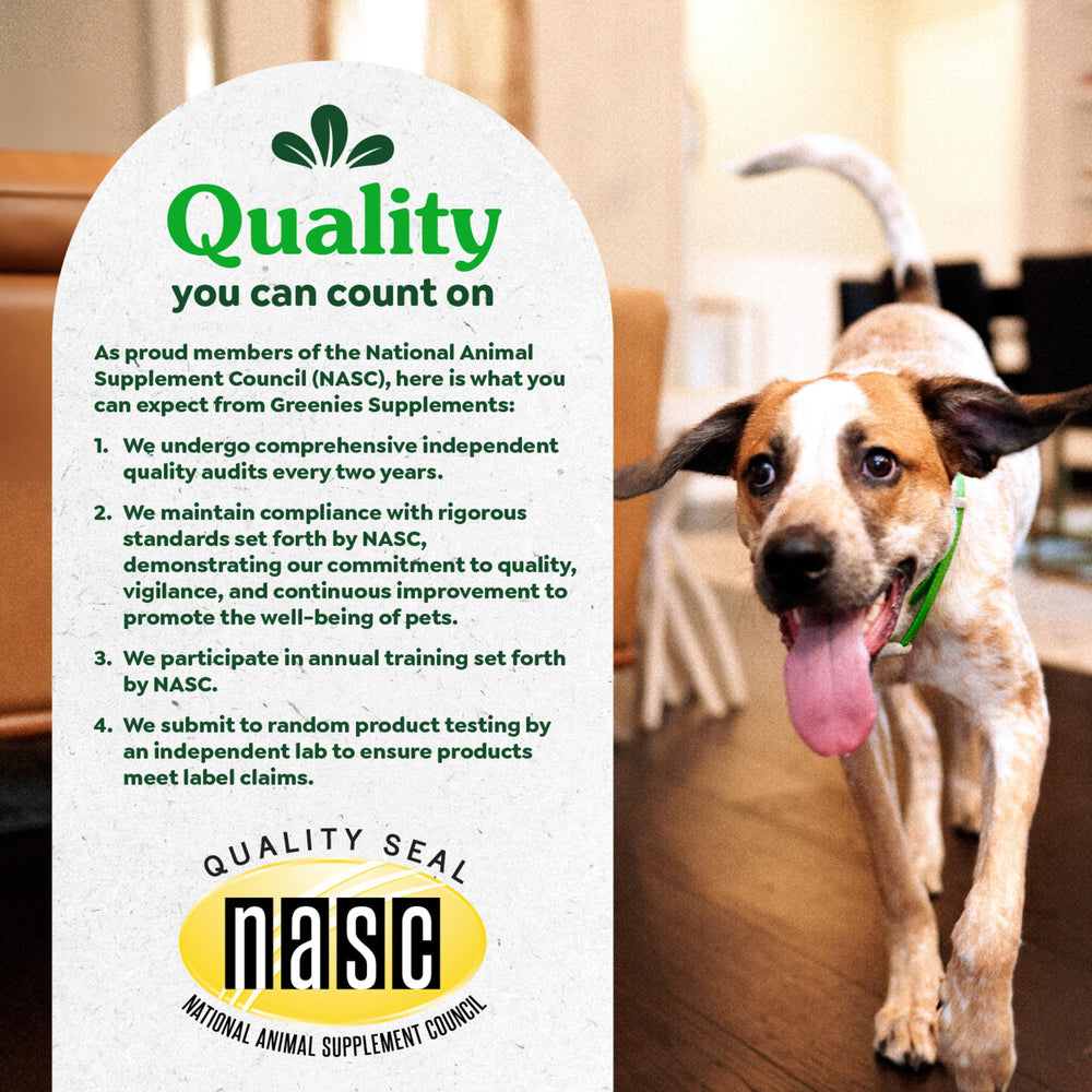 Soft-chew texture visible, easy daily dosing for dogs.