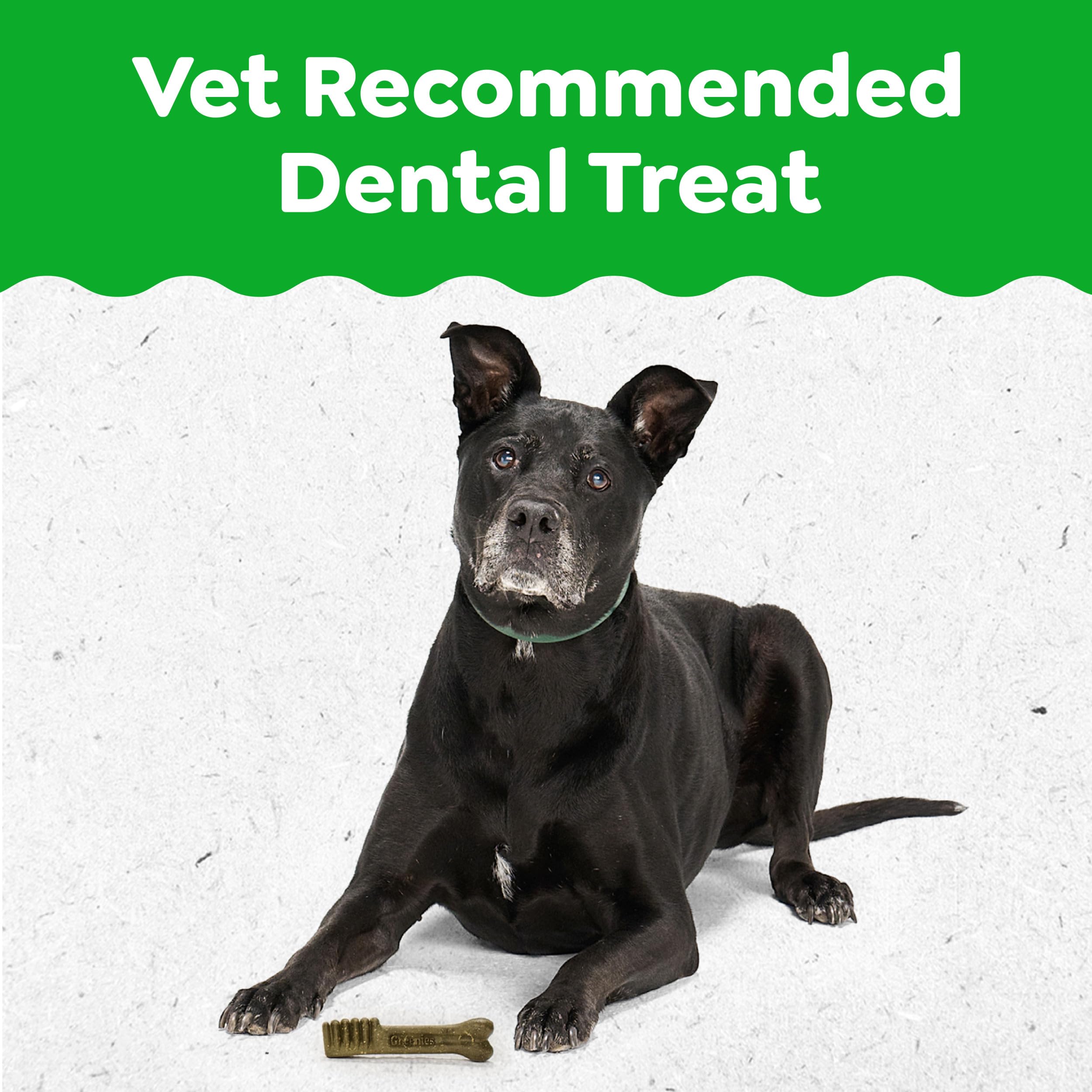 Close-up of Greenies texture highlighting easy-to-chew design for senior dogs