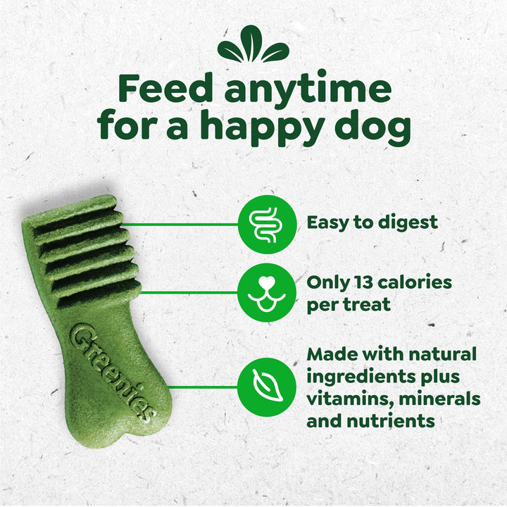 Greenies Anytime Bites blueberry close-up highlights chewy texture dogs love