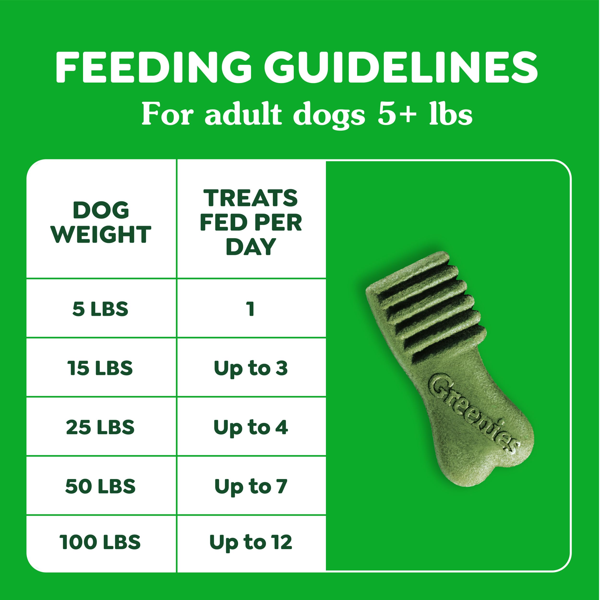 Greenies Anytime Bites dog enjoying treat during training