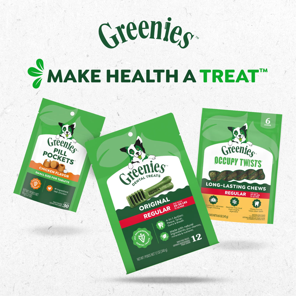 Greenies Anytime Bites park-training setup with dog mid-session reward
