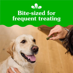 Greenies Anytime Bites small treats for frequent rewards during training
